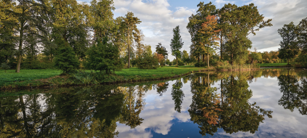 Serene landscape with a reflective water body surrounded by trees and greenery, symbolizing clean water and the role of advanced adsorbents in sustainable water purification." These details emphasize the connection between environmental preservation and advanced water treatment technologies.